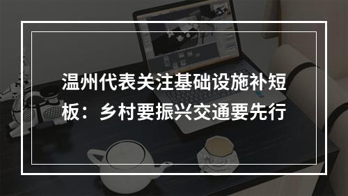 温州代表关注基础设施补短板：乡村要振兴交通要先行