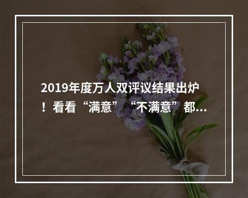 2019年度万人双评议结果出炉！看看“满意”“不满意”都有谁