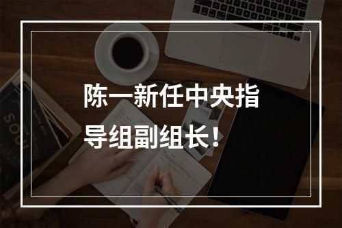 陈一新任中央指导组副组长！