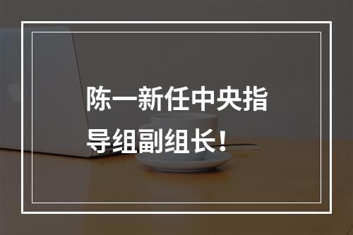 陈一新任中央指导组副组长！
