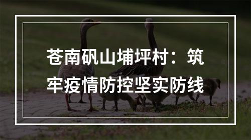 苍南矾山埔坪村：筑牢疫情防控坚实防线