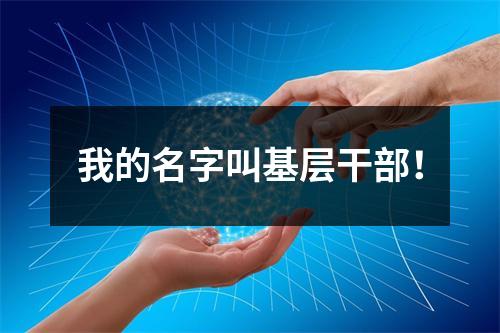 我的名字叫基层干部！