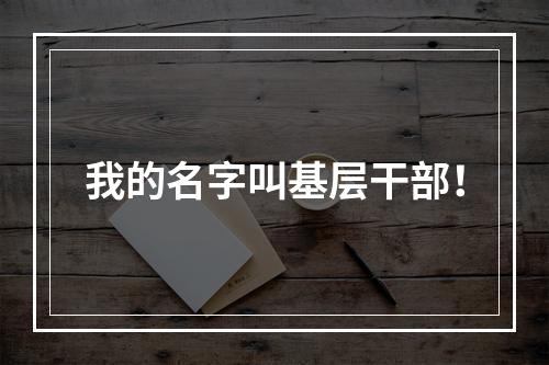 我的名字叫基层干部！