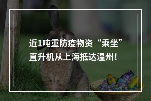 近1吨重防疫物资“乘坐”直升机从上海抵达温州！