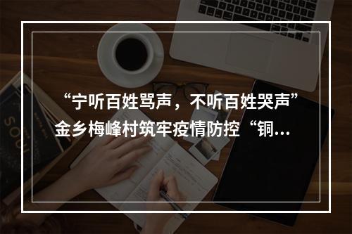 “宁听百姓骂声，不听百姓哭声”金乡梅峰村筑牢疫情防控“铜墙铁壁”
