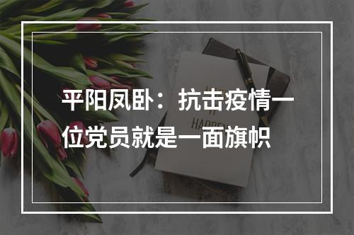 平阳凤卧：抗击疫情一位党员就是一面旗帜