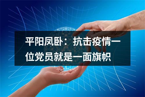 平阳凤卧：抗击疫情一位党员就是一面旗帜