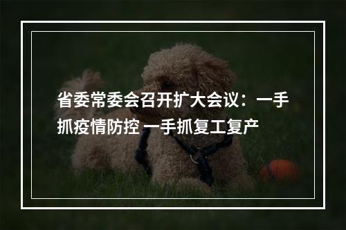 省委常委会召开扩大会议：一手抓疫情防控 一手抓复工复产