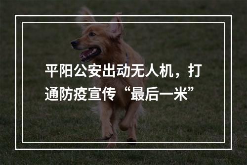 平阳公安出动无人机，打通防疫宣传“最后一米”