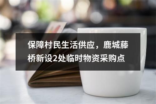 保障村民生活供应，鹿城藤桥新设2处临时物资采购点