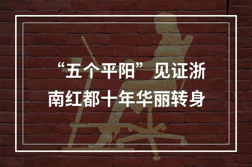 “五个平阳”见证浙南红都十年华丽转身