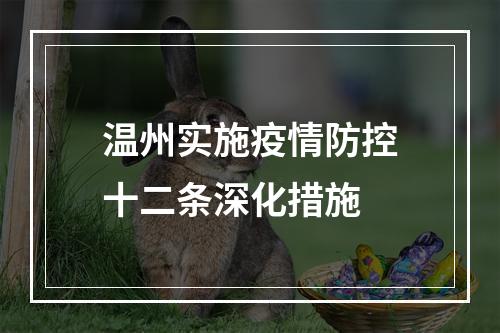 温州实施疫情防控十二条深化措施