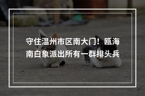 守住温州市区南大门！瓯海南白象派出所有一群排头兵