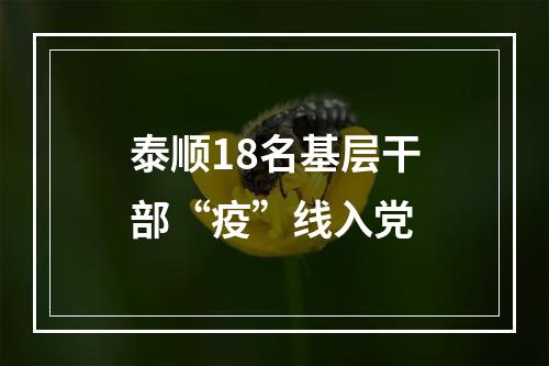泰顺18名基层干部“疫”线入党