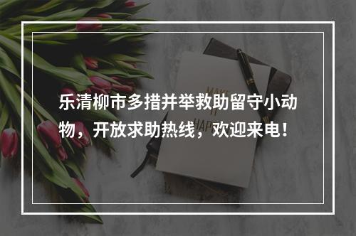 乐清柳市多措并举救助留守小动物，开放求助热线，欢迎来电！