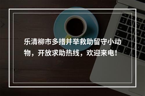 乐清柳市多措并举救助留守小动物，开放求助热线，欢迎来电！