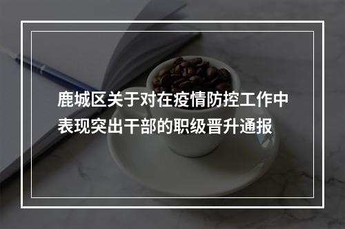 鹿城区关于对在疫情防控工作中表现突出干部的职级晋升通报