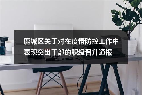 鹿城区关于对在疫情防控工作中表现突出干部的职级晋升通报