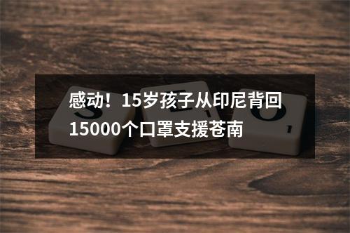 感动！15岁孩子从印尼背回15000个口罩支援苍南