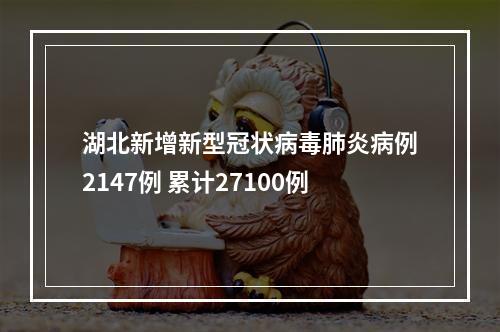湖北新增新型冠状病毒肺炎病例2147例 累计27100例