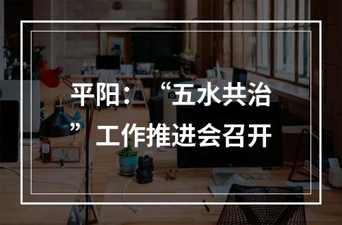 平阳：“五水共治”工作推进会召开