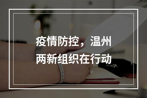 疫情防控，温州两新组织在行动