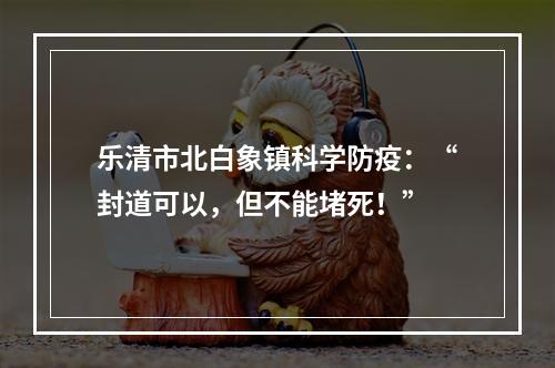 乐清市北白象镇科学防疫：“封道可以，但不能堵死！”