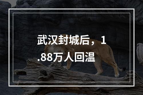 武汉封城后，1.88万人回温