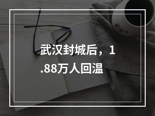 武汉封城后，1.88万人回温