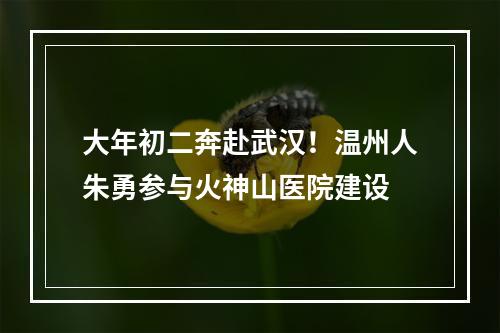 大年初二奔赴武汉！温州人朱勇参与火神山医院建设