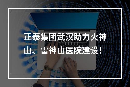 正泰集团武汉助力火神山、雷神山医院建设！
