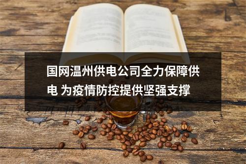 国网温州供电公司全力保障供电 为疫情防控提供坚强支撑