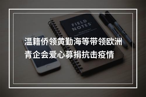 温籍侨领黄勤海等带领欧洲青企会爱心募捐抗击疫情