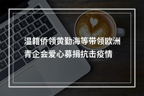 温籍侨领黄勤海等带领欧洲青企会爱心募捐抗击疫情