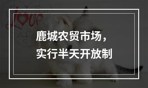 鹿城农贸市场，实行半天开放制