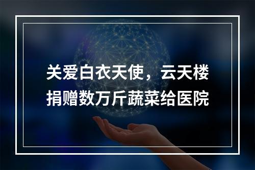 关爱白衣天使，云天楼捐赠数万斤蔬菜给医院