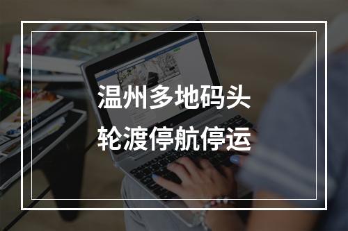 温州多地码头轮渡停航停运