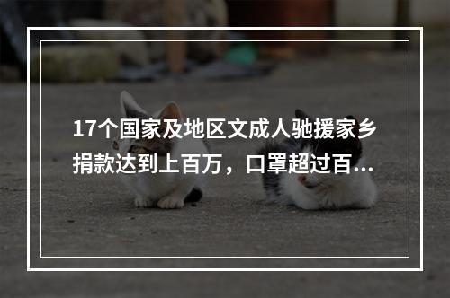 17个国家及地区文成人驰援家乡捐款达到上百万，口罩超过百万只