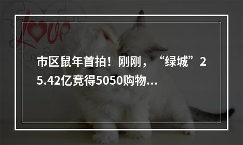 市区鼠年首拍！刚刚，“绿城”25.42亿竞得5050购物中心旁巨无霸宅地！