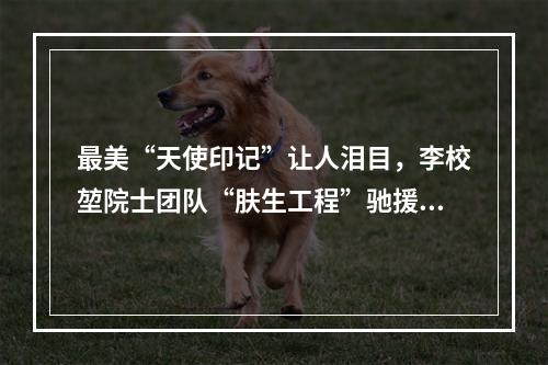最美“天使印记”让人泪目，李校堃院士团队“肤生工程”驰援武汉“疫”线医护人员