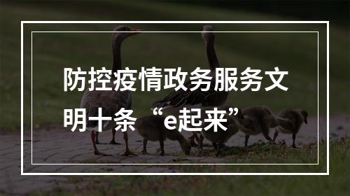 防控疫情政务服务文明十条“e起来”