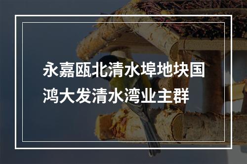 永嘉瓯北清水埠地块国鸿大发清水湾业主群