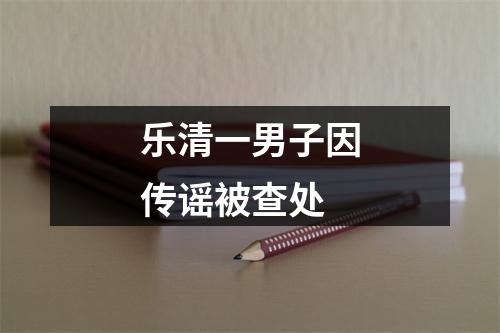 乐清一男子因传谣被查处