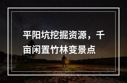 平阳坑挖掘资源，千亩闲置竹林变景点