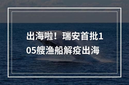 出海啦！瑞安首批105艘渔船解疫出海