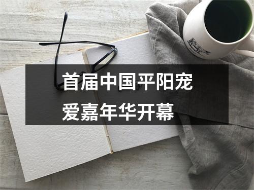 首届中国平阳宠爱嘉年华开幕