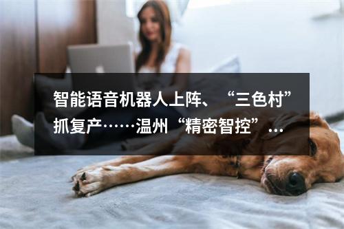 智能语音机器人上阵、“三色村”抓复产……温州“精密智控”助力疫情管控