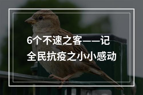 6个不速之客——记全民抗疫之小小感动