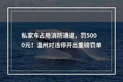 私家车占用消防通道，罚5000元！温州对违停开出重磅罚单