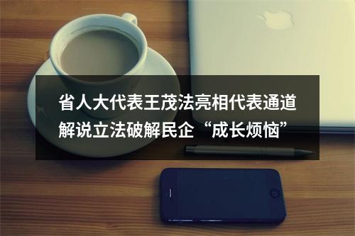 省人大代表王茂法亮相代表通道解说立法破解民企“成长烦恼”